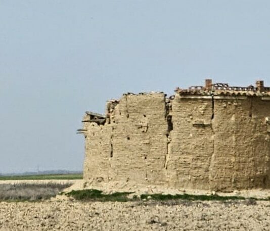 La Diputación subvenciona la rehabilitación de los palomares