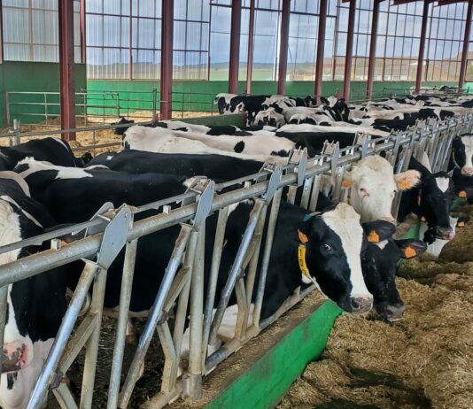 El sector ganadero castellanoleonés pide a la industria que garantice la recogida de leche mientras se negocia