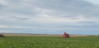 ASAJA pide amparo a la Junta para proteger a los remolacheros frente al nuevo golpe de Azucarera