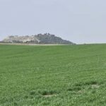 Baja un euro el trigo en la lonja de León