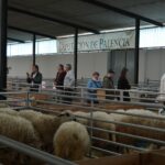 FERIA-C26-redeiles-con-churras