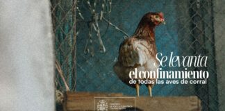 El MAPA levanta el confinamiento de las aves de corral pero mantiene la restricción en 22 municipios palentinos