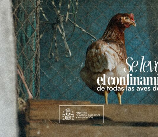 El MAPA levanta el confinamiento de las aves de corral pero mantiene la restricción en 22 municipios palentinos