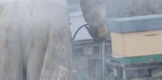 Apicultura en Palencia dentro del Programa CULTIVA