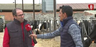 Campo Palentino | 9/4/2026