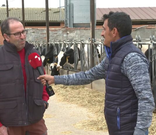 Campo Palentino | 9/4/2026