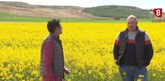 Campo Palentino | 16/4/2026