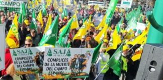 ASAJA advierte que si el cereal no se salva, habrá más movilizaciones