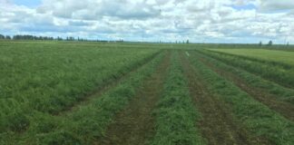 La Junta completa el abono de las ayudas agroambientales y de zonas con limitaciones