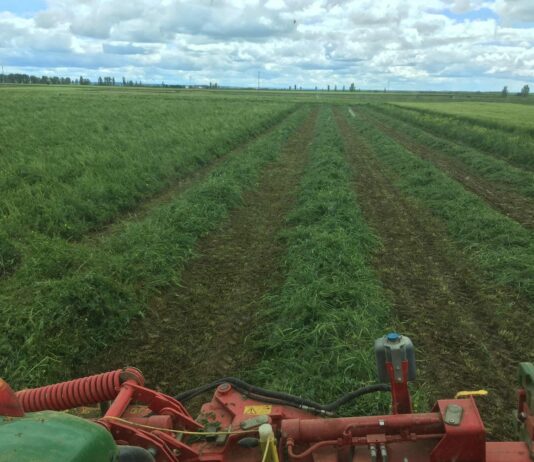 La Junta completa el abono de las ayudas agroambientales y de zonas con limitaciones