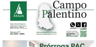 Campo Palentino | nº 277 (Abril 2026)