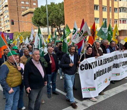 Las OPAs de Castilla y León convocan el 20 de mayo otra protesta por la falta de rentabilidad del sector