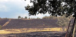 La Junta declara época de peligro medio de incendios forestales desde hoy