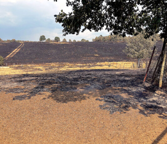 La Junta declara época de peligro medio de incendios forestales desde hoy