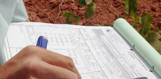 La Junta subvenciona con 15 millones la contratación de seguros agrarios