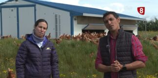 Campo Palentino TV | 30/4/2026