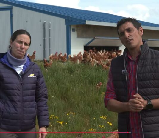 Campo Palentino TV | 30/4/2026