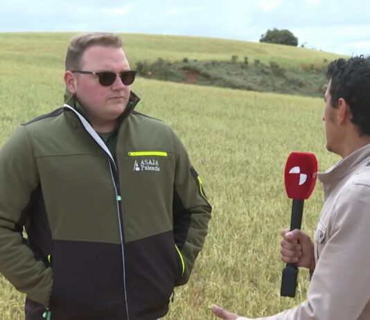 Campo Palentino TV | 7/5/2026