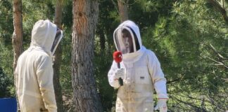 Campo Palentino TV | 28/5/2026