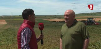 Campo Palentino TV | 21/5/2026
