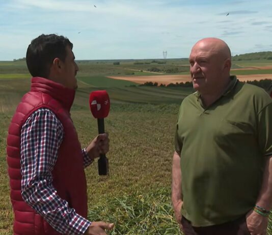 Campo Palentino TV | 21/5/2026
