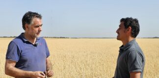 Campo Palentino TV | 25/6/2026