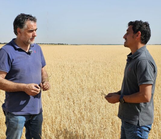 Campo Palentino TV | 25/6/2026