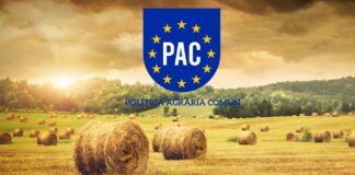 La Junta tramita el último pago de la PAC 2025 apurando plazos