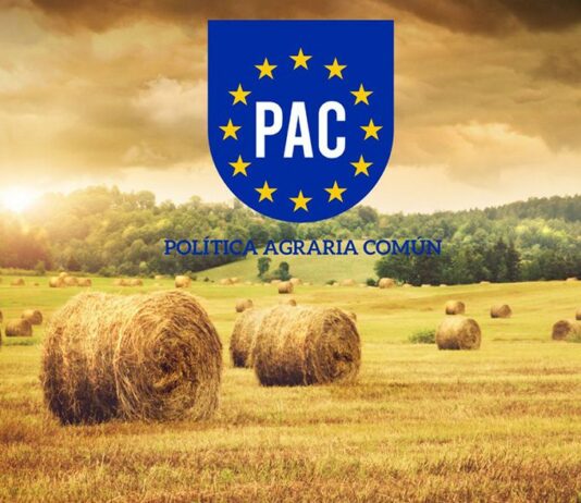 La Junta tramita el último pago de la PAC 2025 apurando plazos