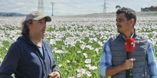 Campo Palentino TV | 11/6/2026