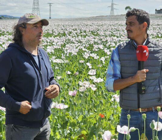 Campo Palentino TV | 11/6/2026