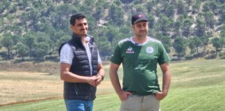 Campo Palentino TV | 4/6/2026