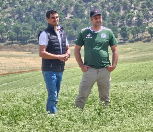 Campo Palentino TV | 4/6/2026