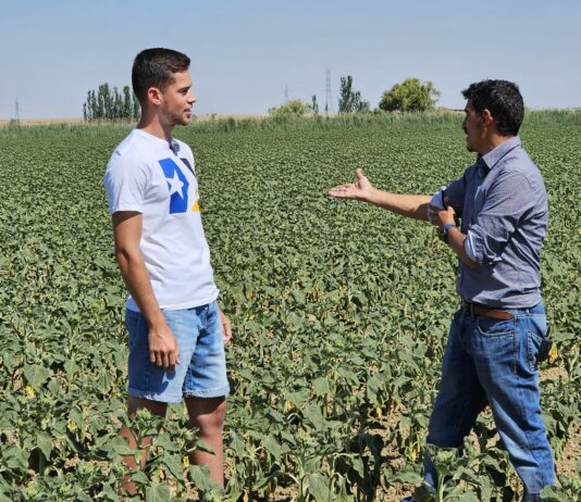 Campo Palentino TV | 18/6/2026