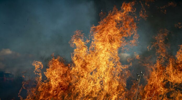 La Junta aprueba un plan de ayudas para recuperar zonas afectadas por los incendios forestales de 2026