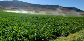 Pino exige una política hidráulica nacional que sitúe el regadío como motor del desarrollo rural