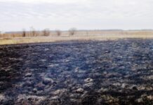 El Gobierno ha aprobado medidas urgentes de protección laboral y social relacionadas con los incendios
