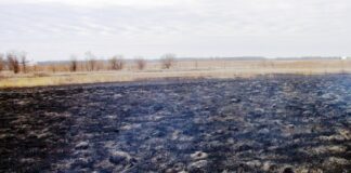 El Gobierno ha aprobado medidas urgentes de protección laboral y social relacionadas con los incendios