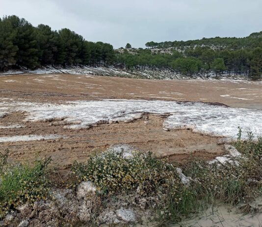 Agroseguro continúa con el pago de indemnizaciones a productores de cultivos herbáceos