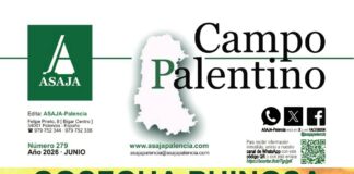 Campo Palentino | periódico nº 279 (Junio 2026)