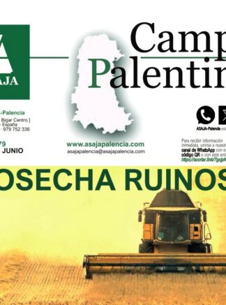 Campo Palentino | periódico nº 279 (Junio 2026)