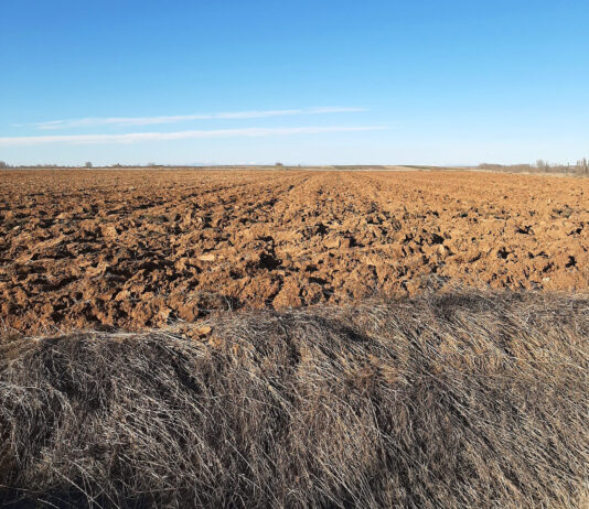 Los datos oficiales confirman la debacle económica que sufre el campo de Castilla y León