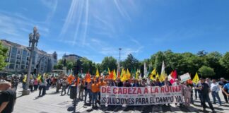 Las organizaciones agrarias de Castilla y León se concentrarán frente a la sede de Presidencia de la Junta por la rentabilidad del sector