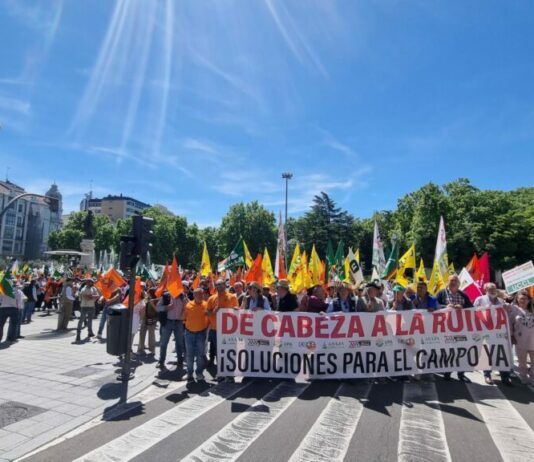 Las organizaciones agrarias de Castilla y León se concentrarán el 27 de agosto frente a la sede de Presidencia de la Junta por la rentabilidad del sector
