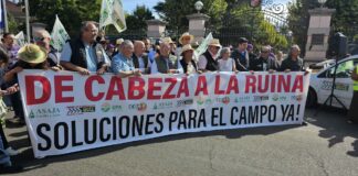 Las OPAs de Castilla y León piden una reunión urgente con Mañueco ante el inicio de una campaña agrícola crítica