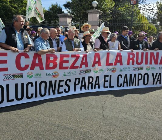 Las OPAs de Castilla y León piden una reunión urgente con Mañueco ante el inicio de una campaña agrícola crítica