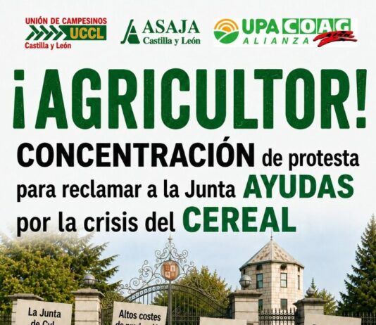 Tras la celebración ayer del consejo de gobierno de la junta, las organizaciones agrarias de Castilla y León mantienen el acto reivindicativo programado frente a la sede de presidencia de la Junta para el día 27 de agosto
