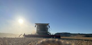 Las Opas de Castilla y León apuntan a la responsabilidad de los operadores comerciales en la crisis de precios de los cereales