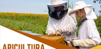 El Centro de Formación ‘Viñalta’ imparte un curso de apicultura entre el 22 de septiembre y el 1 de octubre