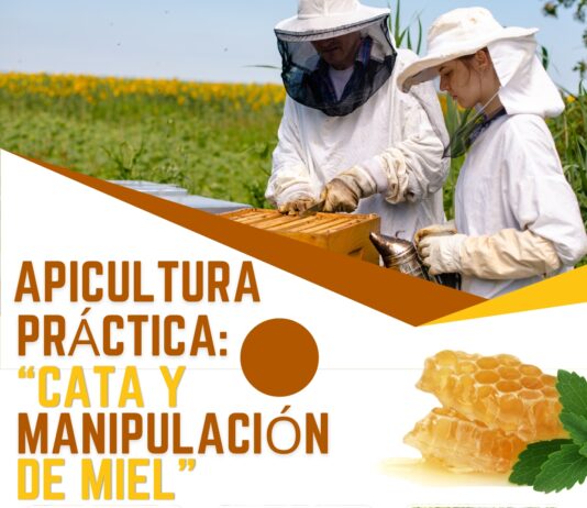 El Centro de Formación ‘Viñalta’ imparte un curso de apicultura entre el 22 de septiembre y el 1 de octubre